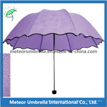 Подарок промотирования Специальный складной зонтик с печатание Apear в дожде